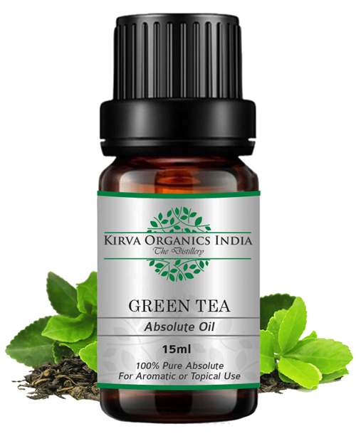 GREEN TEA ABSOLUTE OIL - Kirva Organics India