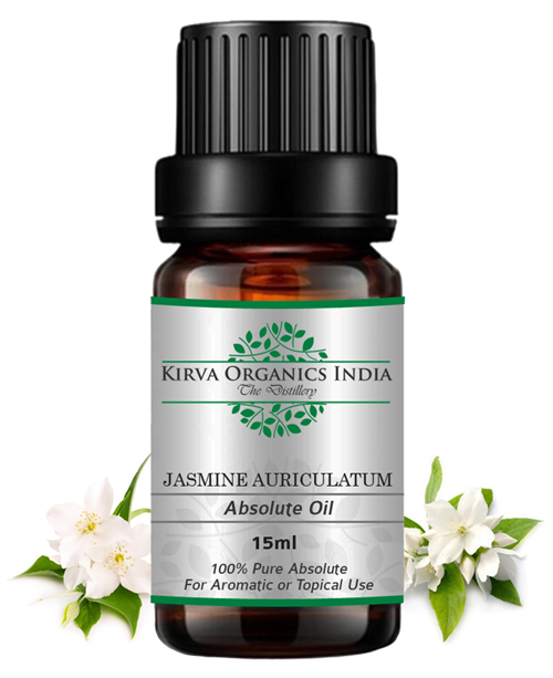 JASMINE AURICULATUM ABSOLUTE OIL - Kirva Organics India