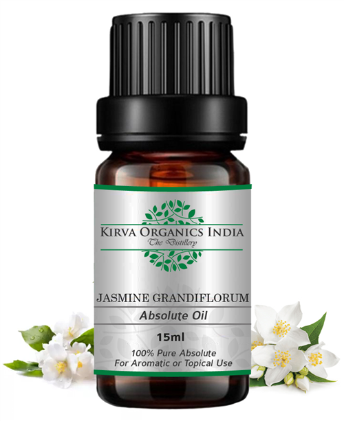 JASMINE GRANDIFLORUM ABSOLUTE OIL - Kirva Organics India