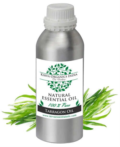 TARRAGON ESSENTIAL OIL - Kirva Organics India