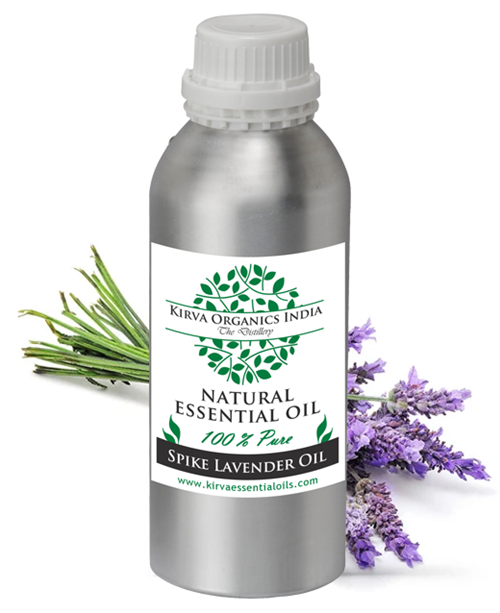 SPIKE LAVENDER OIL - Kirva Organics India