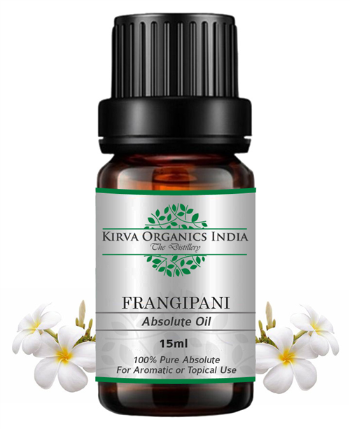 FRANGIPANI ABSOLUTE - Kirva Organics India