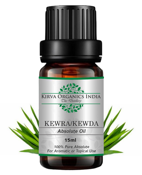 KEWRA ABSOLUTE - Kirva Organics India