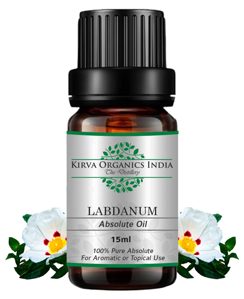 LABDANUM ABSOLUTE OIL - Kirva Organics India