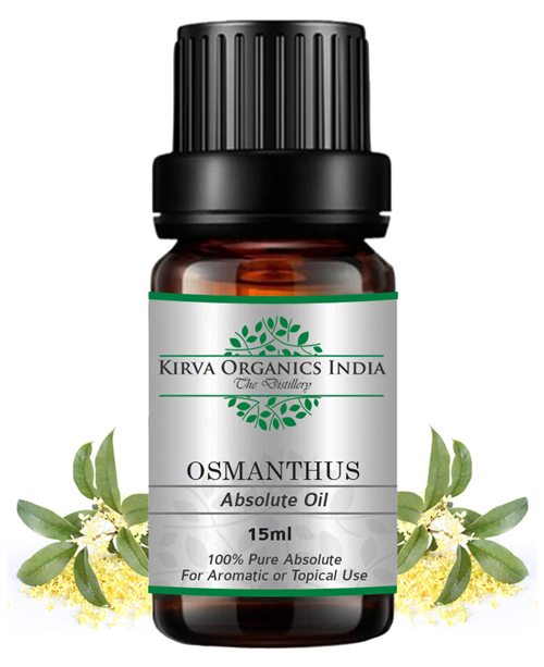 OSMANTHUS ABSOLUTE OIL - Kirva Organics India