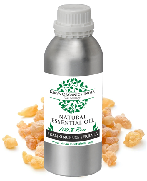 FRANKINCENSE SERRATA - Kirva Organics India