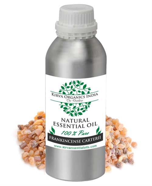 FRANKINCENSE CARTERII - Kirva Organics India