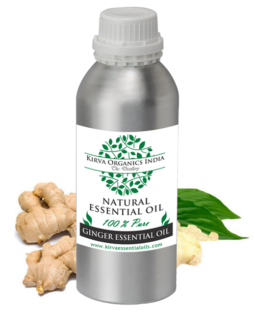 GINGER ESSENTIAL OIL - Kirva Organics India