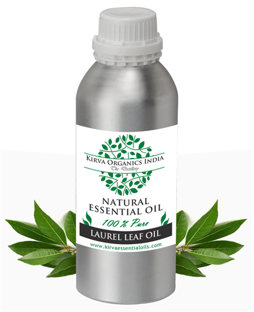 LAUREL LEAF OIL - Kirva Organics India