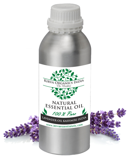 LAVENDER OIL KASHMIRI INDIA - Kirva Organics India