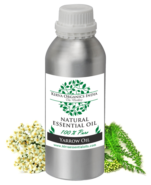 YARROW OIL - Kirva Organics India