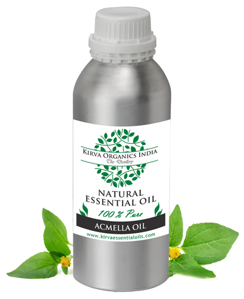 ACMELLA OIL - Kirva Organics India