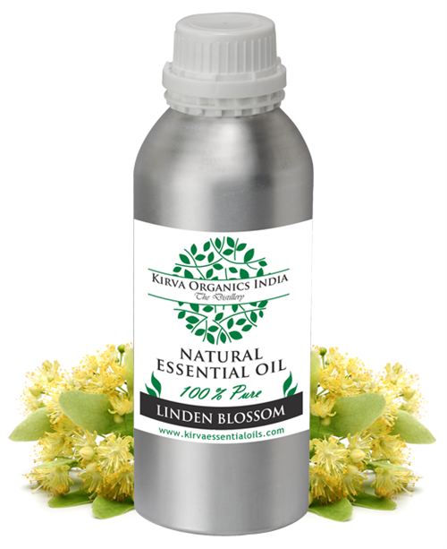 LINDEN BLOSSOM OIL - Kirva Organics India